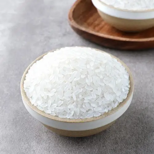 十月稻田东北长粒香米5kg新米10斤粳米热销爆款