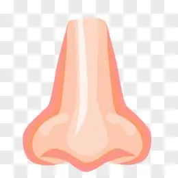 卡通手绘正面鼻子免抠元素