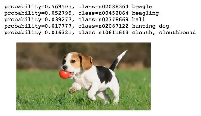 选择性搜索算法 (selective search)