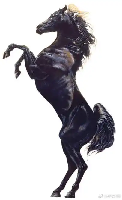 不进来不灵,您的孩子今年定将黑马奔腾,金榜题名不在话下.