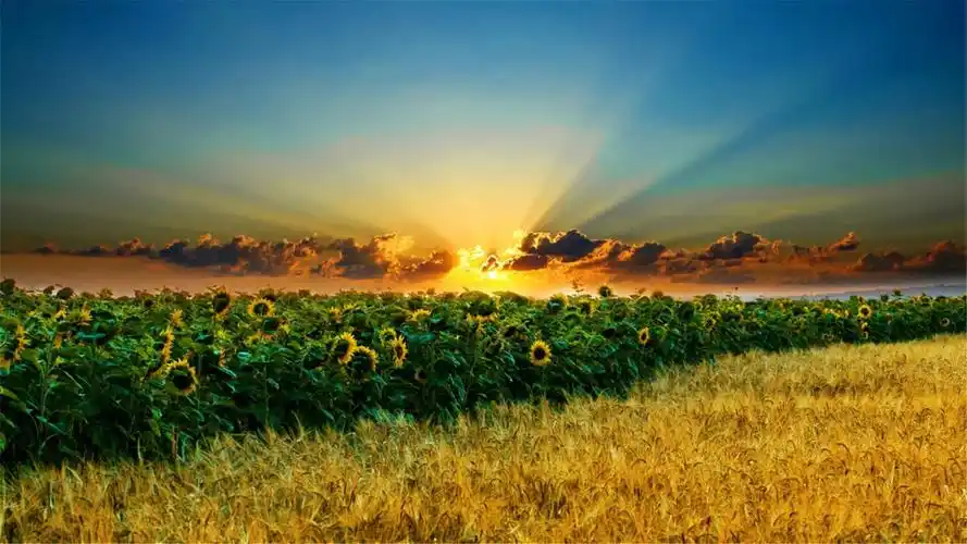 夕阳西下唯美电脑桌面壁纸_风景壁纸_壁纸下载_美桌网