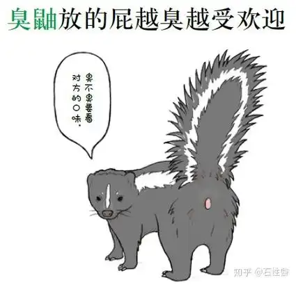 问世间高手何处,放臭屁7天不散臭鼬因为放的屁奇臭无比而出名,不过那