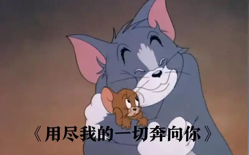 【猫和老鼠】用尽我的一切奔向你