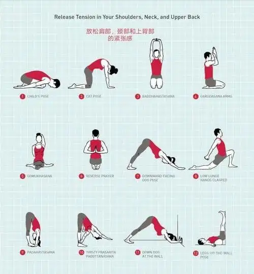 一套简单有效的瑜伽开肩序列,助你灵活肩颈,缓解疼痛!