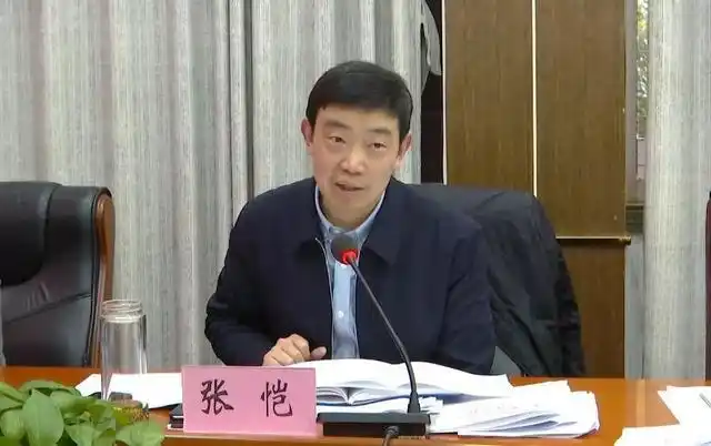 张恺主持召开区政府常务会议