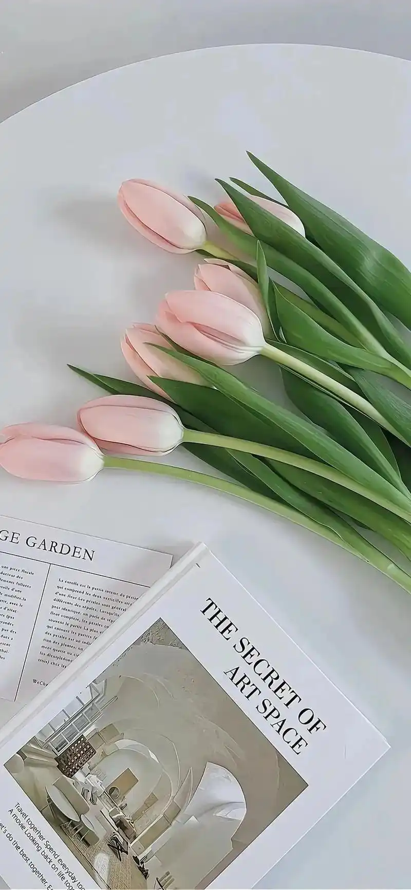 郁金香/高清简约ins风景图 - 抖音