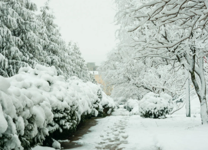 趣味测试:寒冷的冬季,你喜欢哪张雪景图?测他会不会让你寒心!