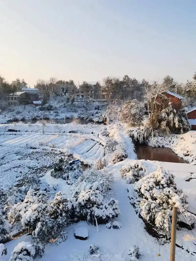 老家下雪过后就更好看,这4张照片是我妈拍的,我这两天没拍自己 - 抖音