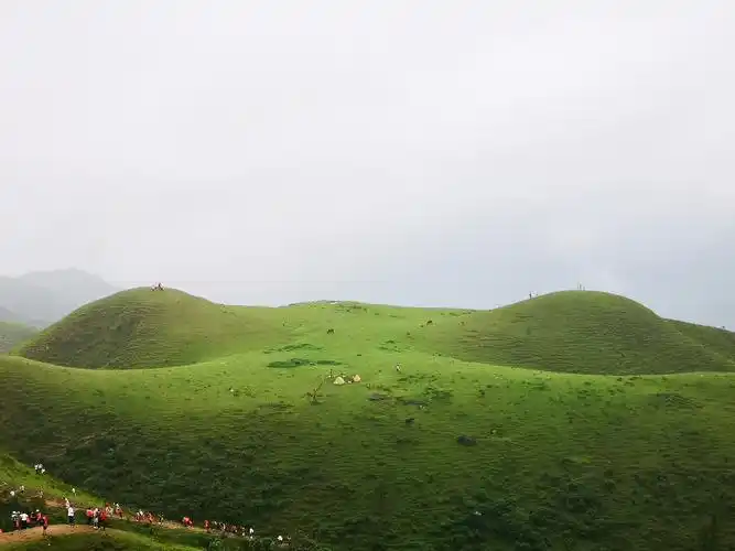 其它 登鸡笼顶 写美篇鸡笼顶位于阳春,信宜,高州的三市交界处.