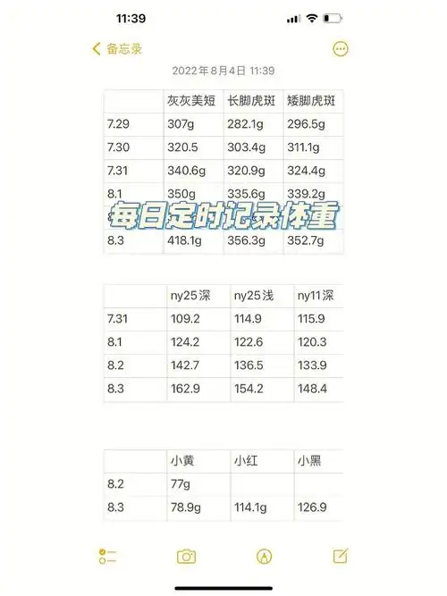 但幼猫微小的异常很容易被忽视每天定时给小猫称体重,正常猫每日体重