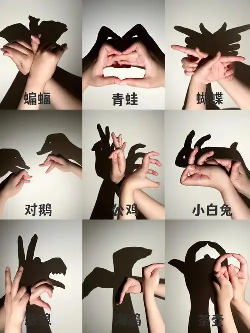 了的茶壶哈哈哈)有公鸡,青蛙,海鸥,蝴蝶(上一次有姐妹说手指无法弯曲