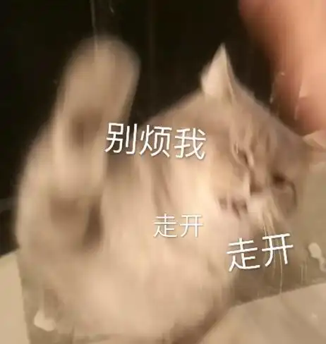 别烦我走开猫咪表情包猫咪别烦走开表情