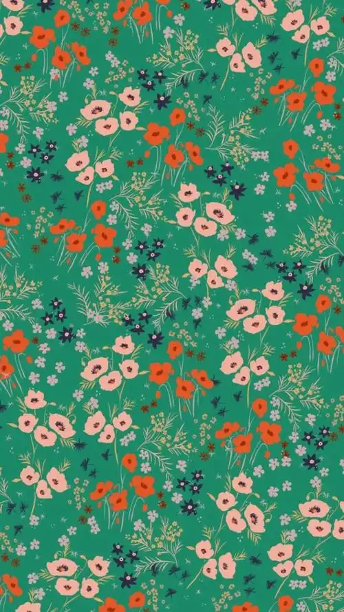 花里胡哨的壁纸,有点ins风!