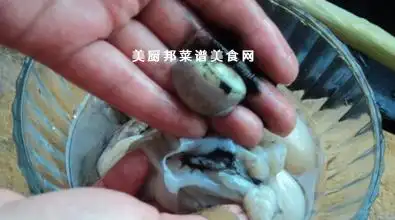墨鱼身上什么不能吃