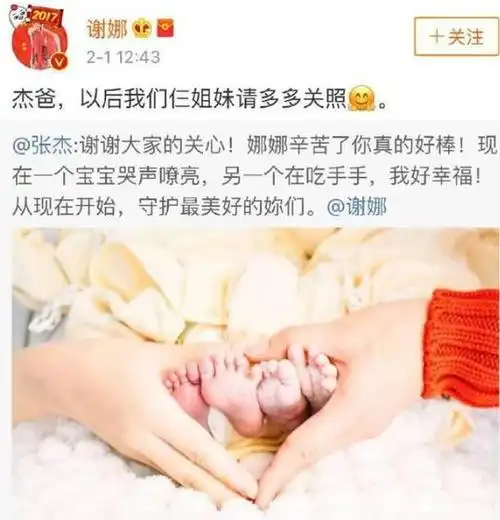 谢娜产子希望落空品牌方证实二胎是女儿孩子出生后迟迟未公布