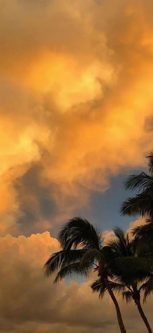 江孑ins唯美橘色系风景壁纸