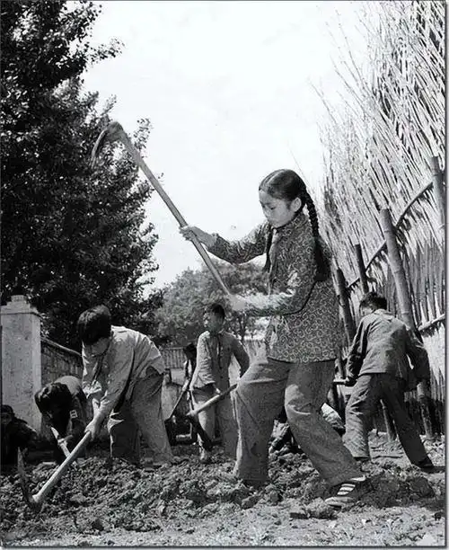 60后70后80后的童年回忆|宋丹丹|那个年代|电影_网易订阅