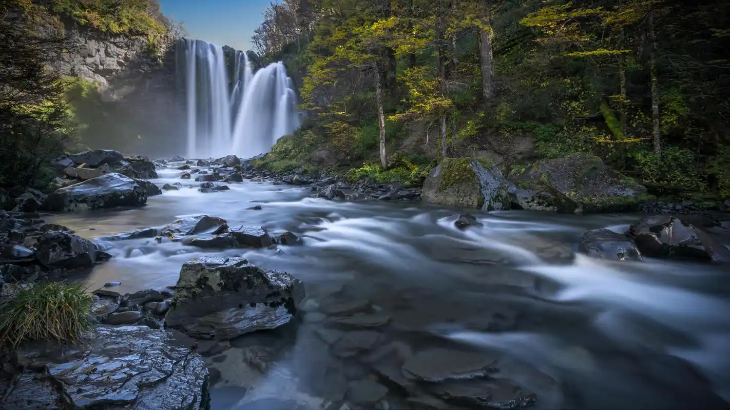 壁纸|高清手机壁纸456