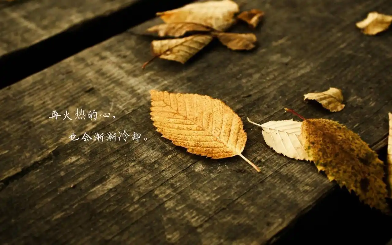 相关标签树叶黄了人心凉了带字图片上一图集:心累有苦说不出说说图片