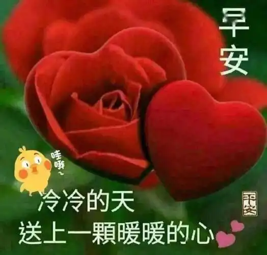 风吹来,气温大降,你的冷暖,我记心上.