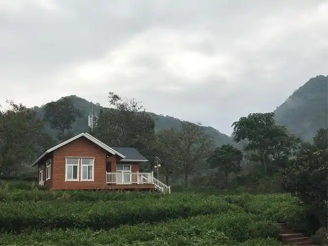 文县 碧口 马家山 手机作品