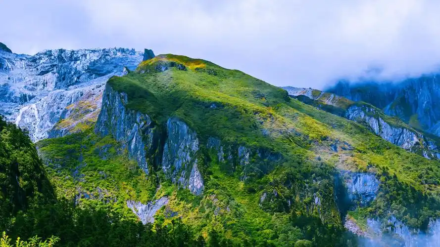 森林山脉绿色4k专区壁纸