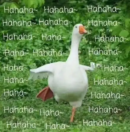 鹅鹅鹅 可爱萌娃表情包-表情包网站