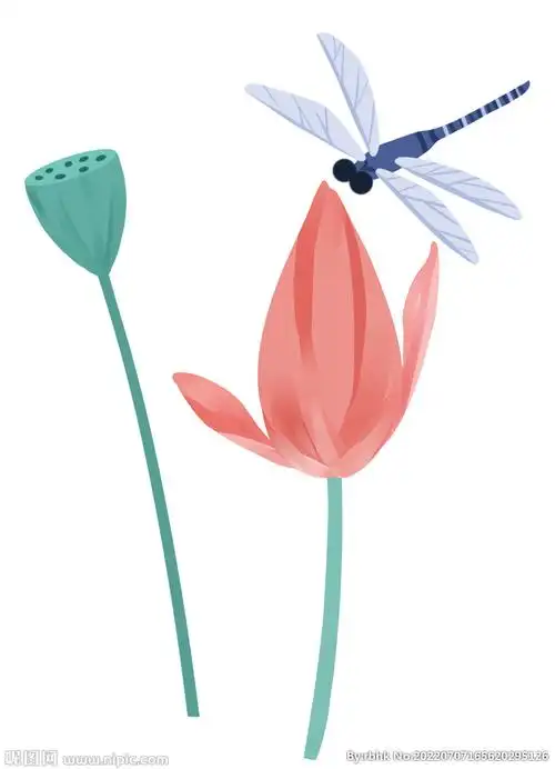蜻蜓插画设计图__卡通设计_广告设计_设计图库_昵图网nipic.com