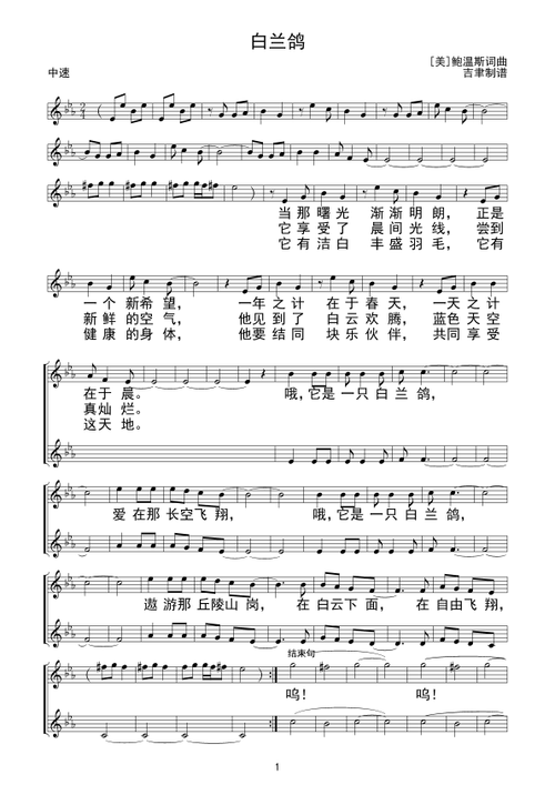 白兰鸽 歌谱 简谱,五线谱
