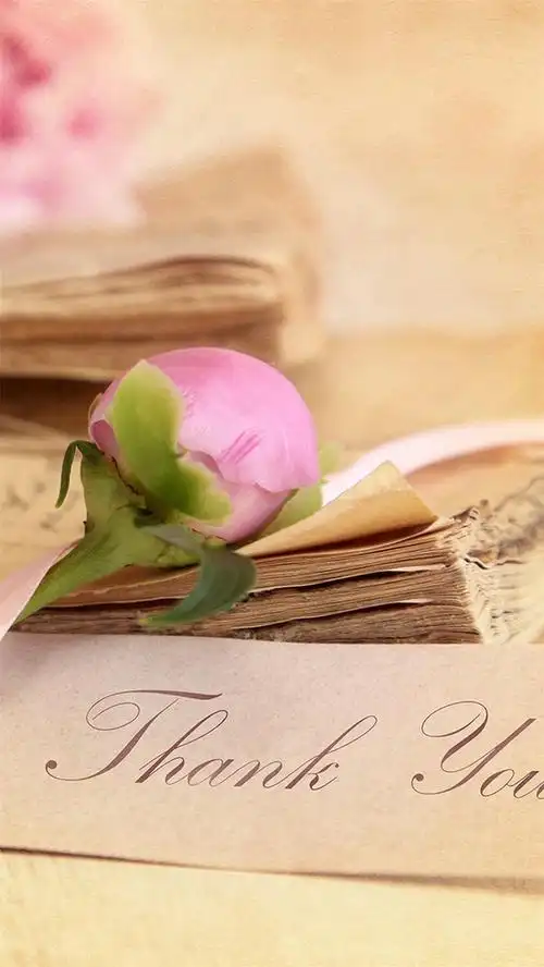 花卉书籍文艺h5背景