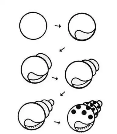 儿童画海螺怎么画.图片