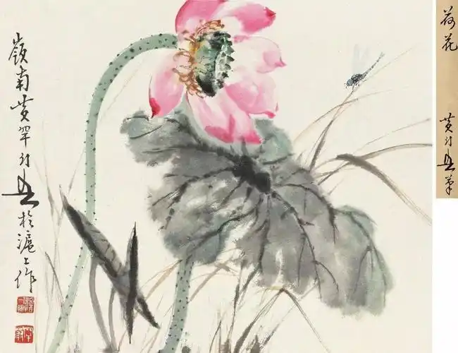 岭南画派黄幻吾写意荷花欣赏