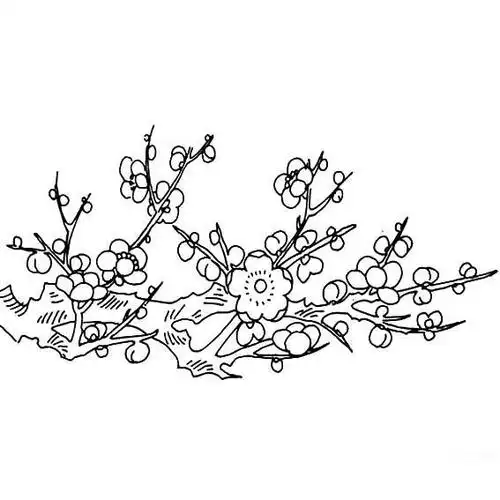 水墨画梅花的画法图片_梅花简笔画_亲子简笔画大全