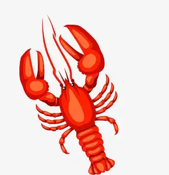卡通红色大龙虾简图