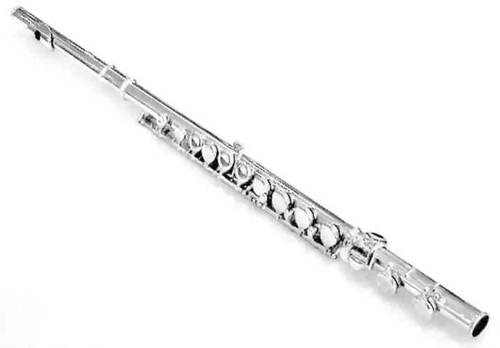 世界上最珍贵的长笛