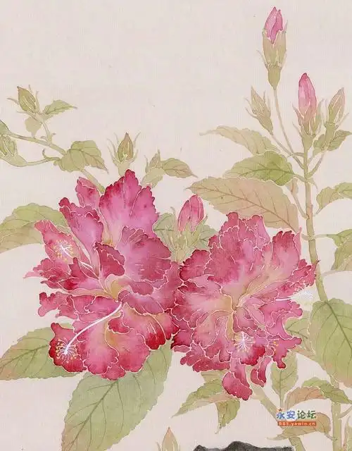 温润典雅自然天成一一刘朝阳的没骨花鸟