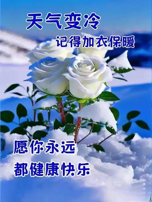 冷冷的是天气,暖暖的是问候.穿厚点,别受凉!早安~_人生_祝福_公众
