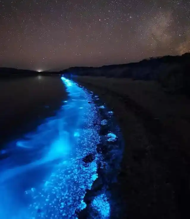 平潭岛出现"蓝眼泪"奇观,如梦如幻,简直美极了