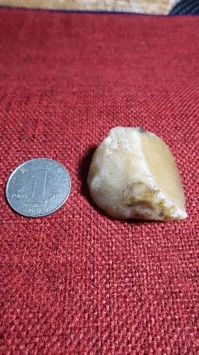 罗布泊地表蛋白原石