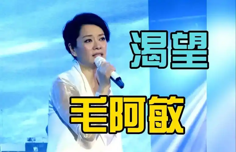 毛阿敏实力live《渴望》