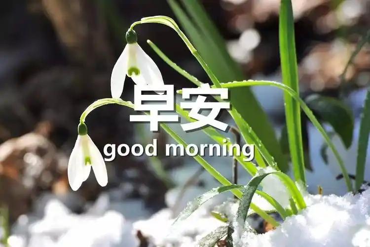 早安祝福语配图片早安问候语带图片