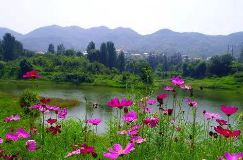 山山水水花花世界