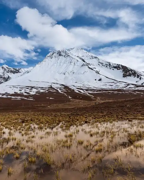 西藏高原的蓝天白云下的雪山草地