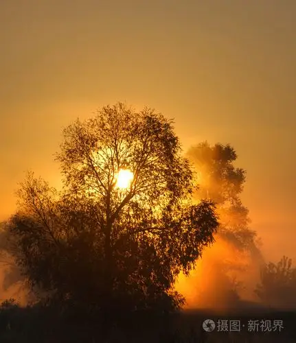 到秋天,金黄的树叶,美好的时光温暖的天气