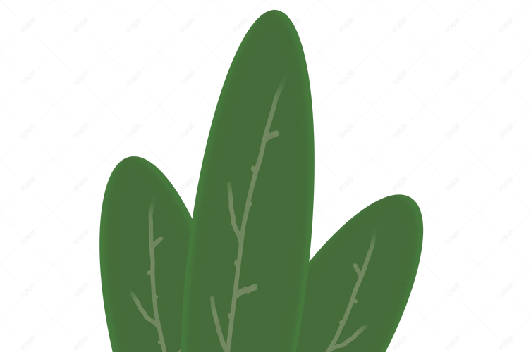 创意绿色植物叶子免抠图