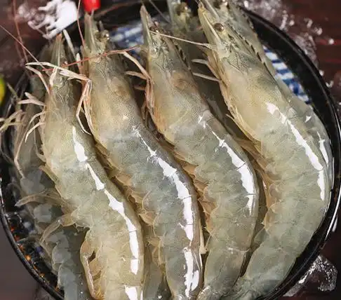 同样是虾人工养殖虾和野生海虾有何区别哪个更好以后别乱买