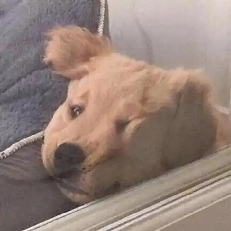 奇葩搞笑头像闺蜜逗比搞笑头像闺蜜三人搞笑头像闺蜜四人搞笑头像闺蜜