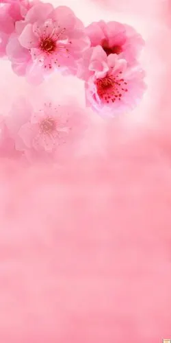 中国photoshop资源网 ps素材 ps素材 背景图片 摄影背景 >> 正文