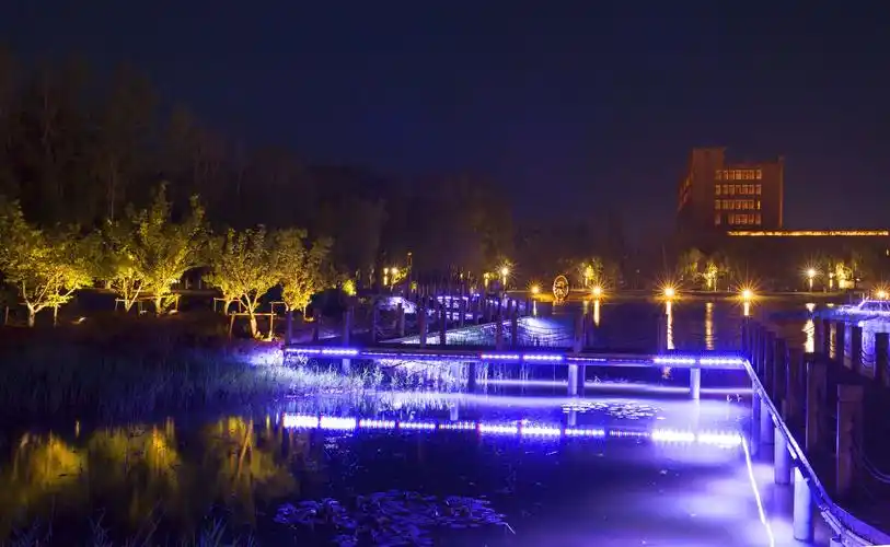 湿地公园之夜晚