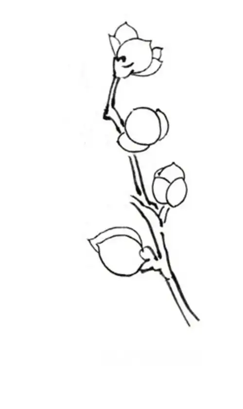 学画画 国画教程 工笔画    花朵组合    枝干的画法    枝干的画法